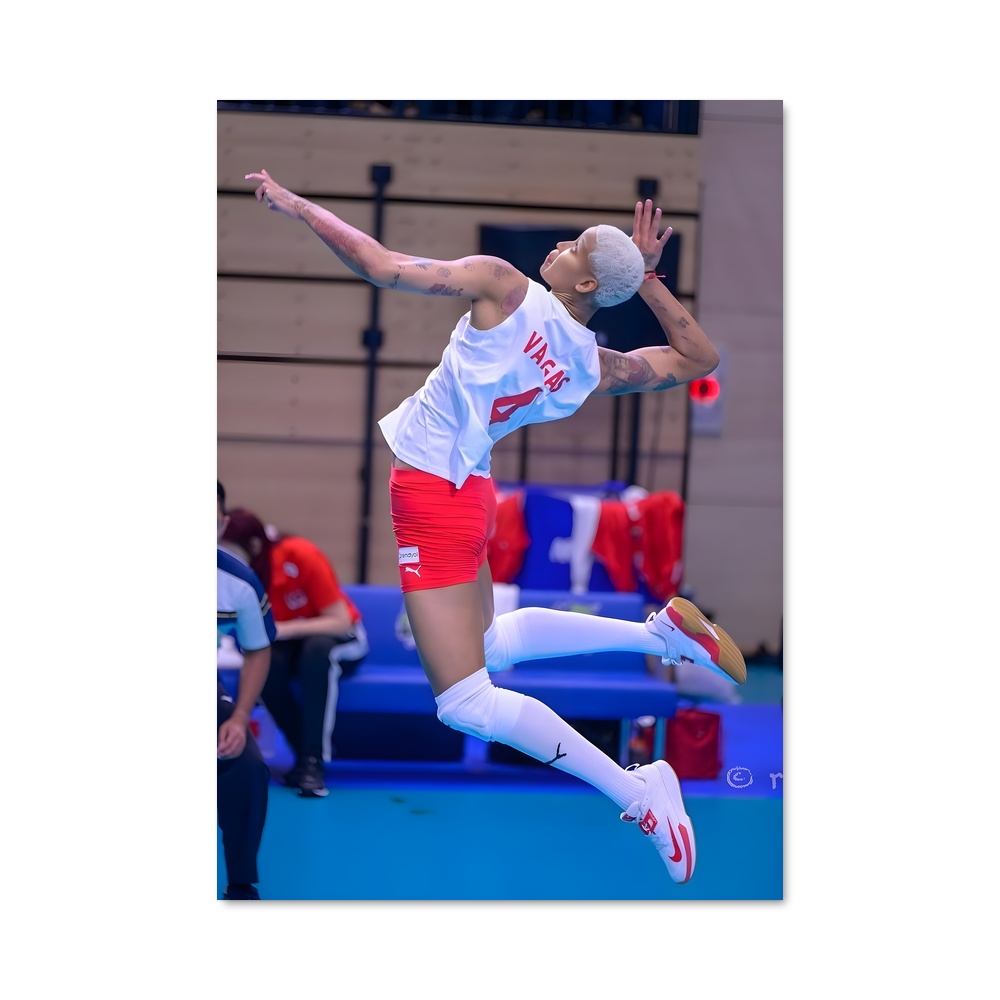 Poster Envolée Volleyball